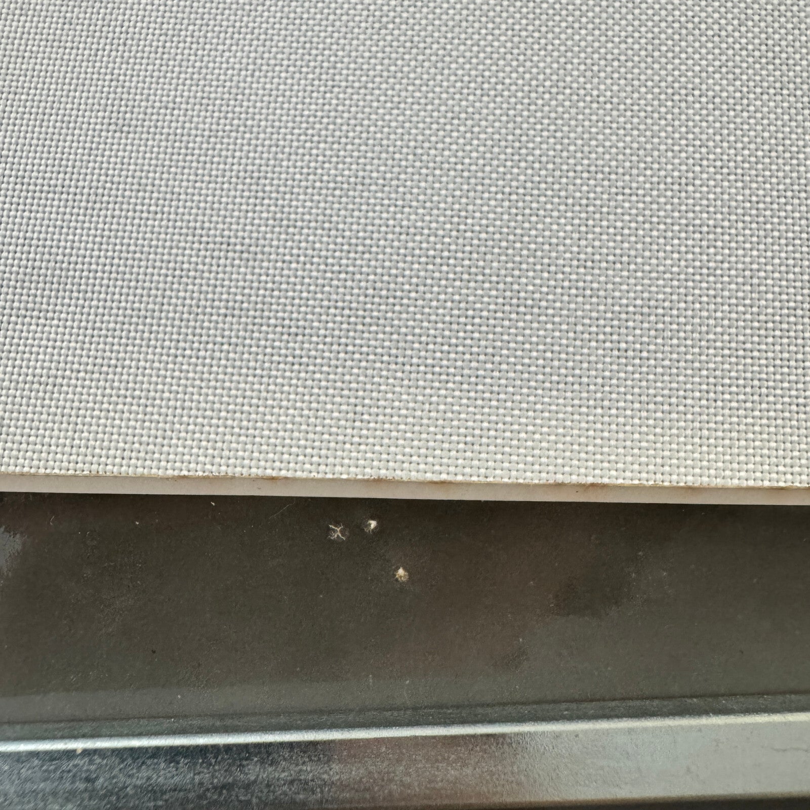 Vintage Circus Rollerskating Act Roller Skate Photo Photograph Print Les Rowlers