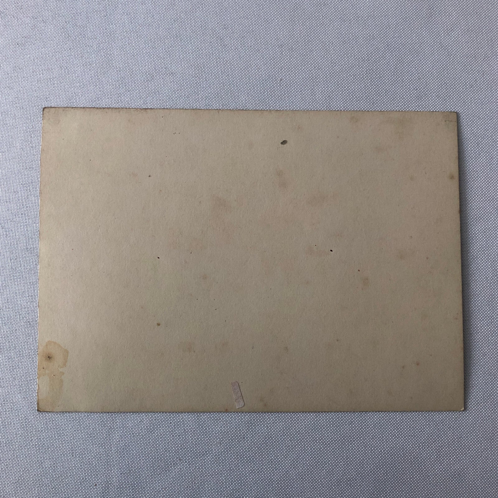 Circus Performer Vintage Photo Photograph Print Ringling Brothers Show 1913 ?