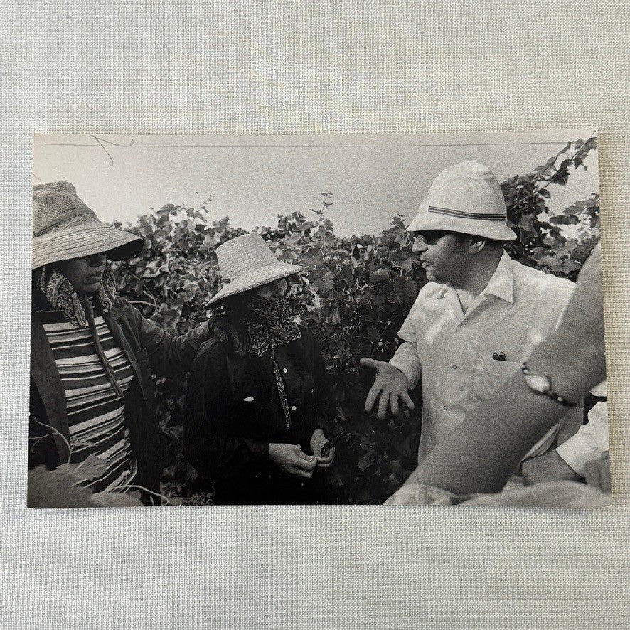 United Farmworkers Union Strike Labour Labor Canada Press Photo Photograph