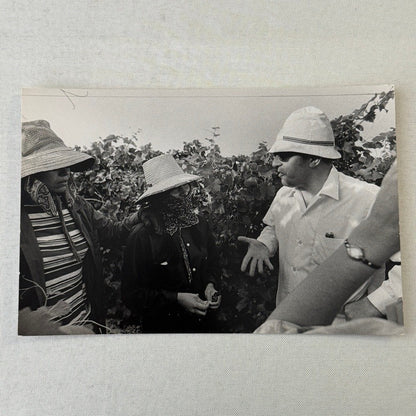 United Farmworkers Union Strike Labour Labor Canada Press Photo Photograph