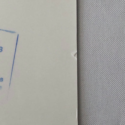 Vintage 1976 Formula 2 F2 Pau Grand Prix Racing Photo Photograph Alex Ribeiro