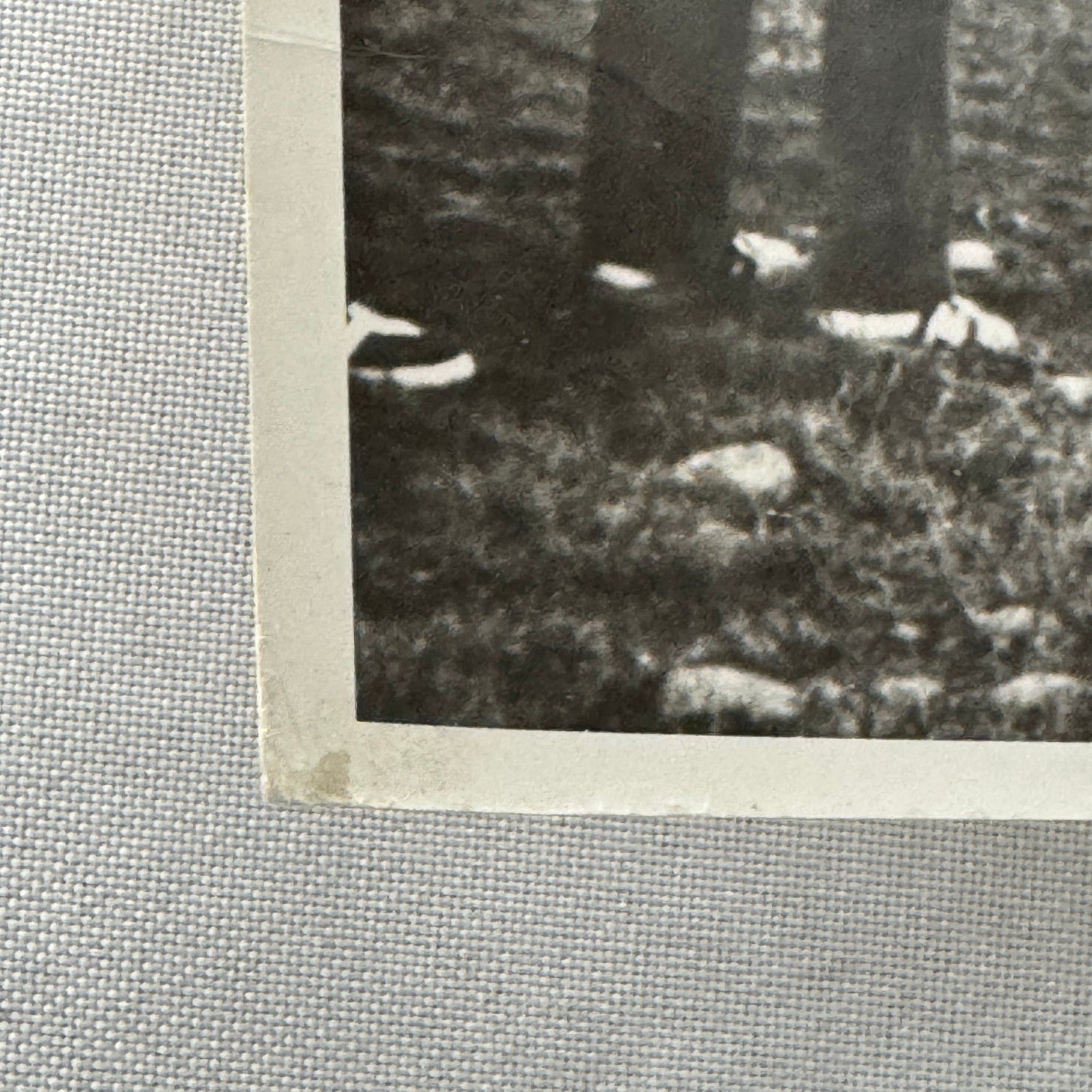 Vintage Car Racing Photo Circuit Mont Tremblant Quebec Photograph