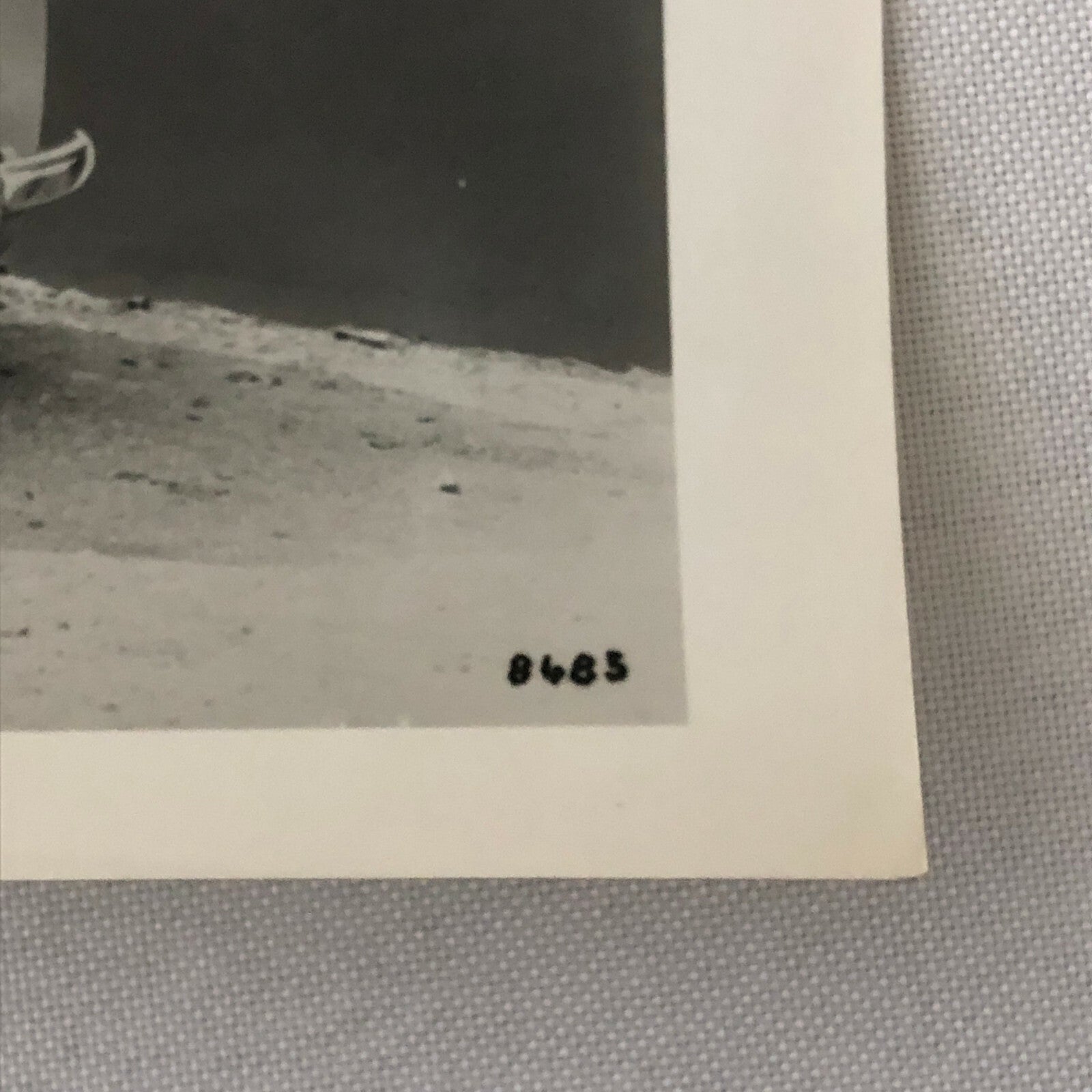 Vintage Peugeot D3A Fourgon Tole Truck Van Photo Photograph Print 