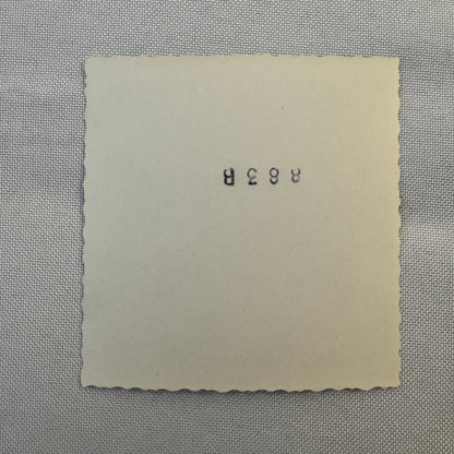 Vintage Truck Bus Accident Wreck Rollover Photo Photograph Borgward