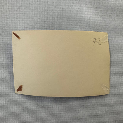 Circus Rollerskating Roller Skate Circus Act Photo Photograph Grock