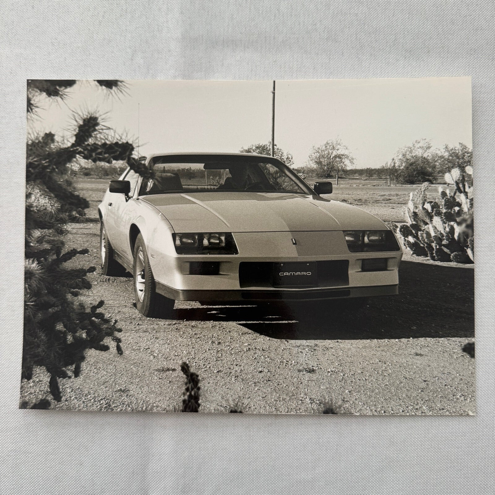 Chevrolet Camaro Factory Press Publicity Photo Photograph Print Chevy