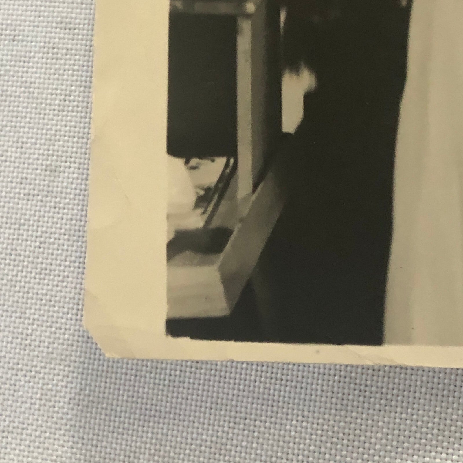 Janet Blair Singer Actress Photo Photograph