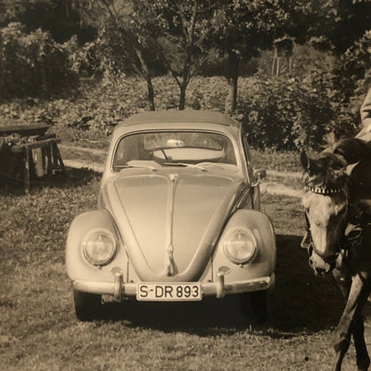 Vintage Photo Photograph Snapshot People Child Horse VW Volkswagen Beetle Bug