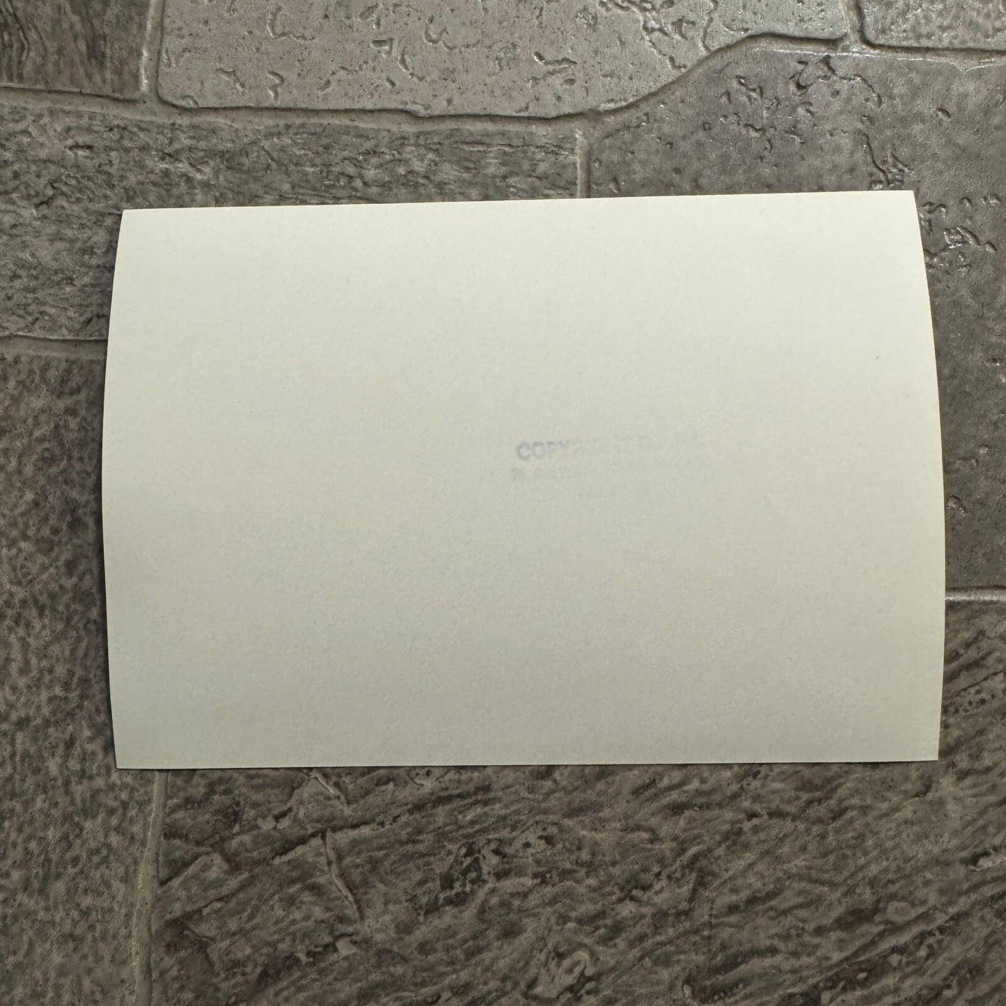 1980 RAC Rally Rallye Car Racing Photo Photograph Toyota Celica GT Vintage Car