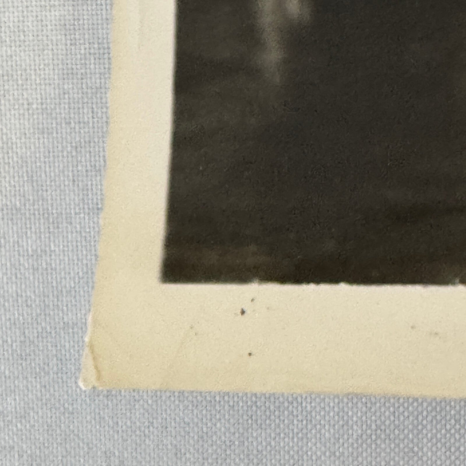 Vintage Movie Press Photo Photograph Three Musketeers Lana Turner Gene Kelly