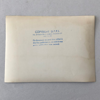 Vintage Renault Alpine Rally Racing DPPI Press Photo Photograph Print