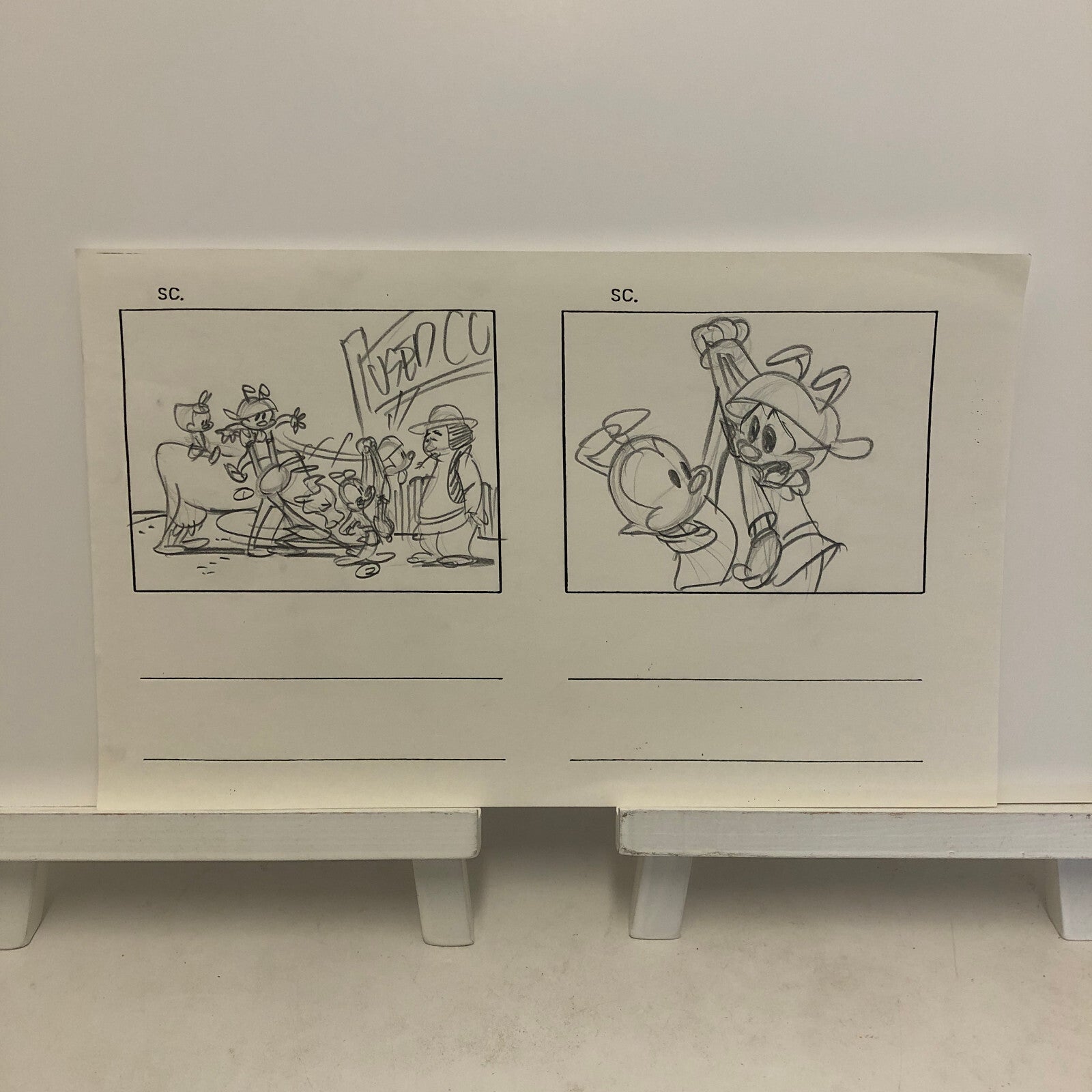 ANIMANIACS Animation Storyboard Illustration Drawing Sketch Story Board Art