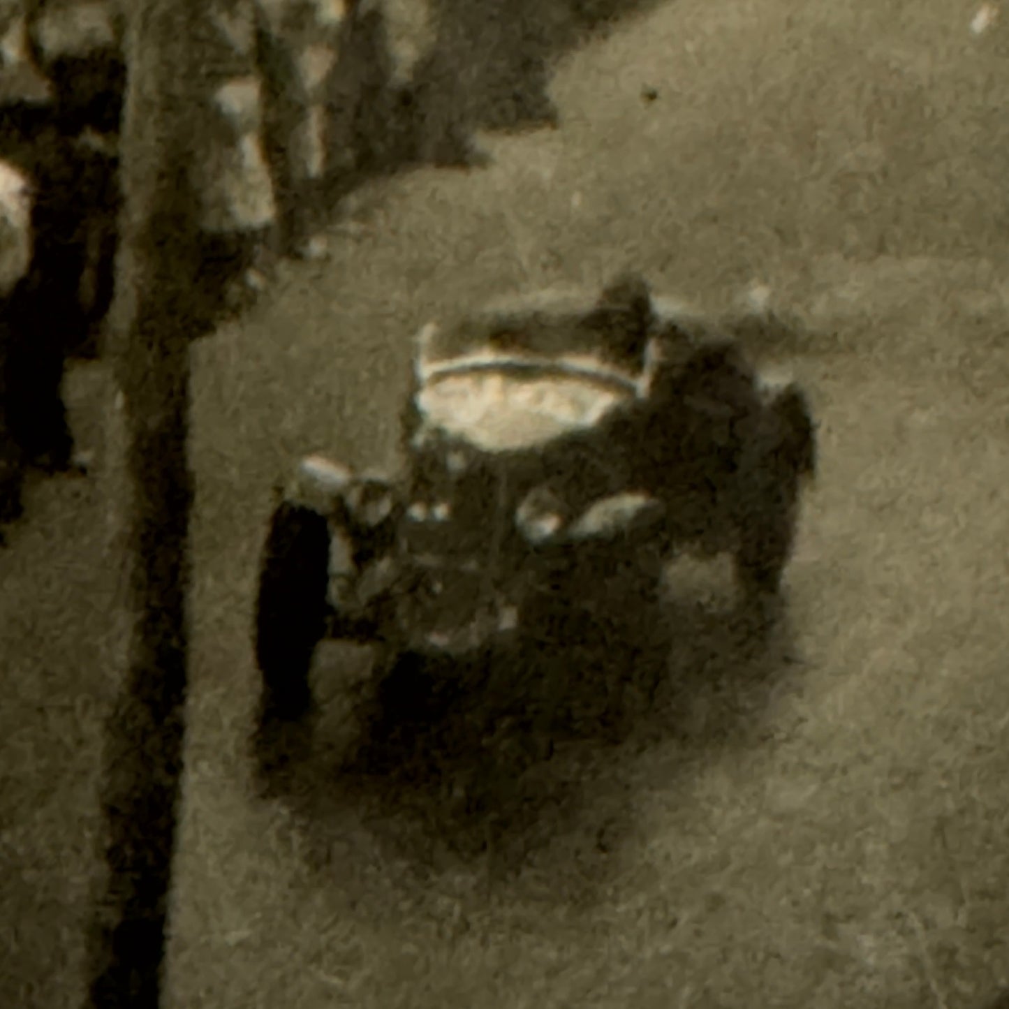 Vintage Racing Car Photo Photograph Print Motorsport