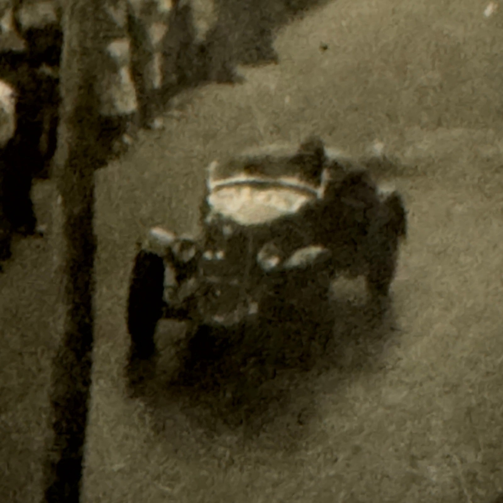 Vintage Racing Car Photo Photograph Print Motorsport