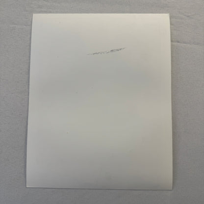 Oasis Publicity Press Photo Photograph Liam Gallagher Noel Gallagher 1997