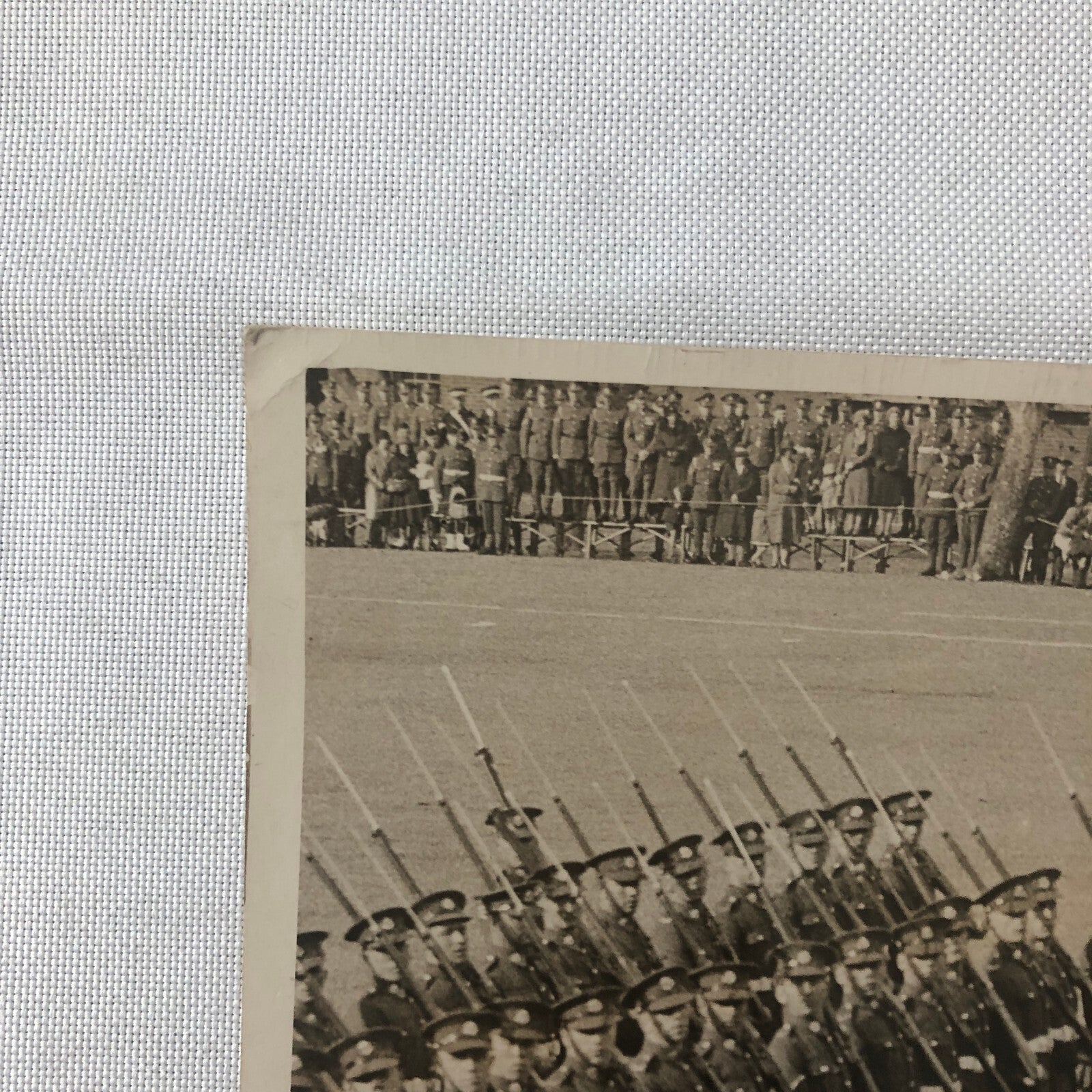 Vintage Press Photo Photograph Prince of Wales Colchester UK 1931 Middlesex