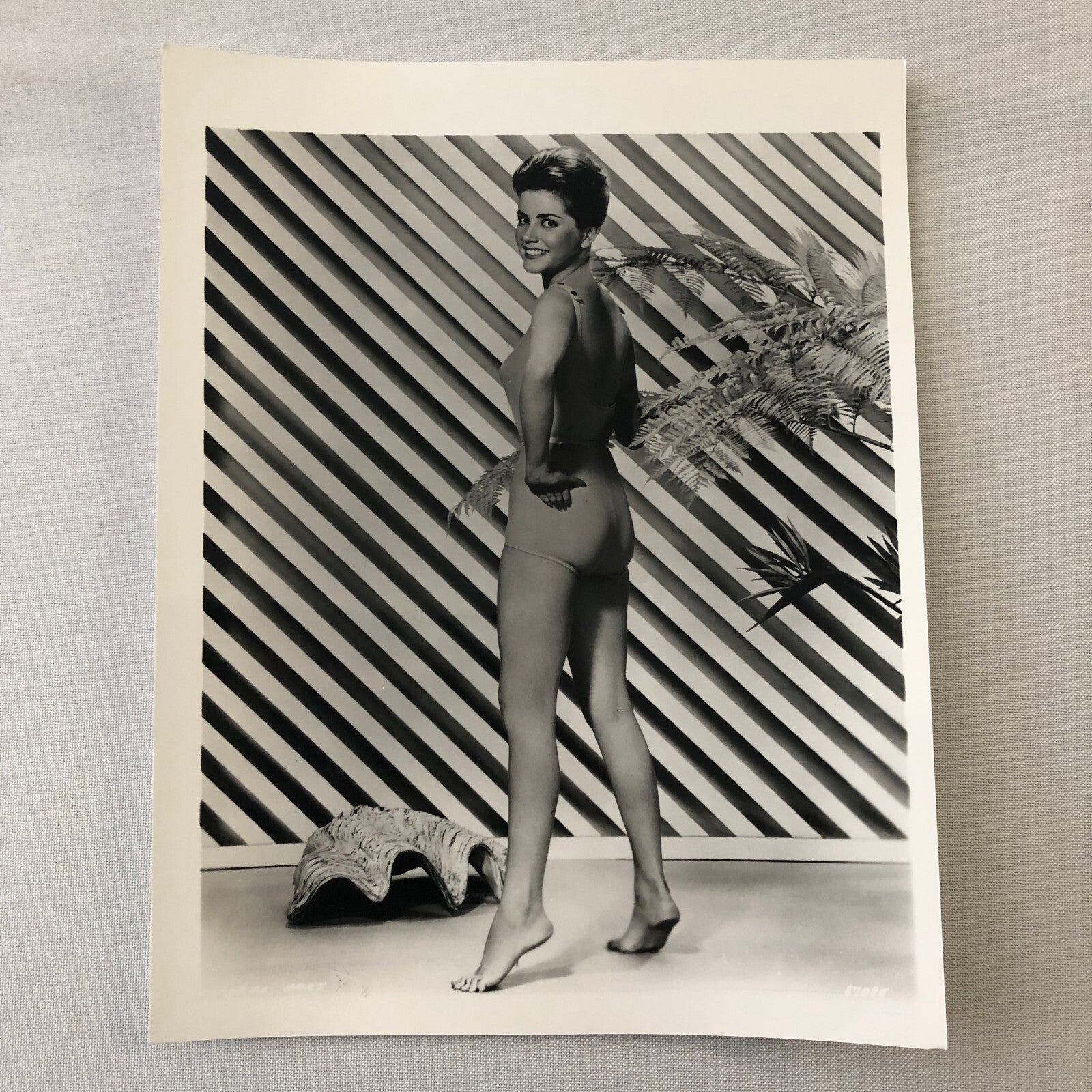 Dolores Hart Vintage Actress Photo Photograph Print Modern Print