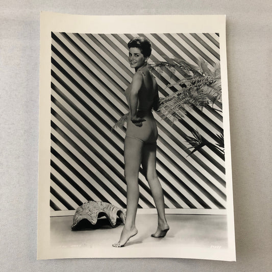 Dolores Hart Vintage Actress Photo Photograph Print Modern Print