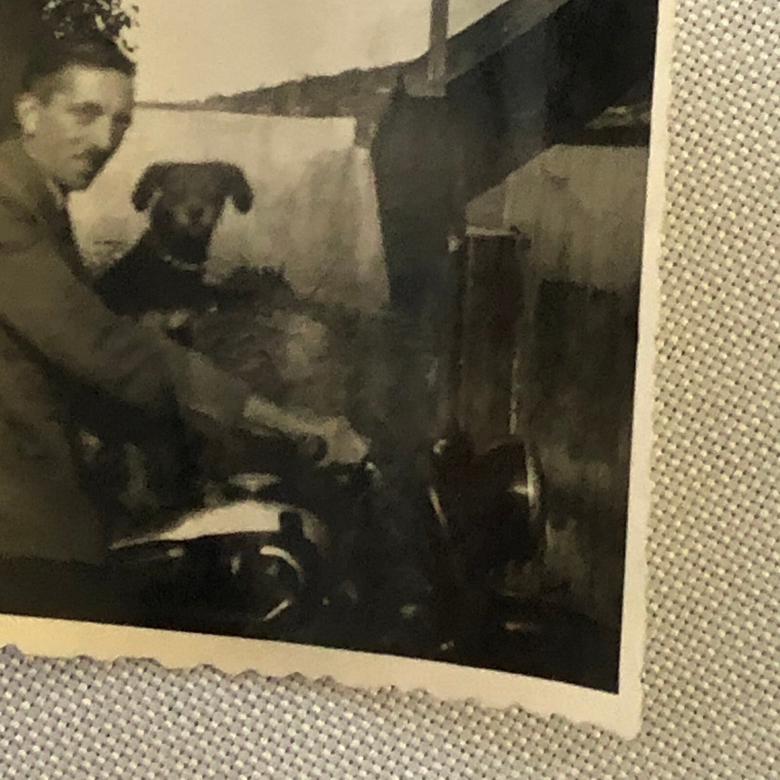 Vintage Photo Photograph Man on Motorcycle with Dog Bike  Tag AL22SM2