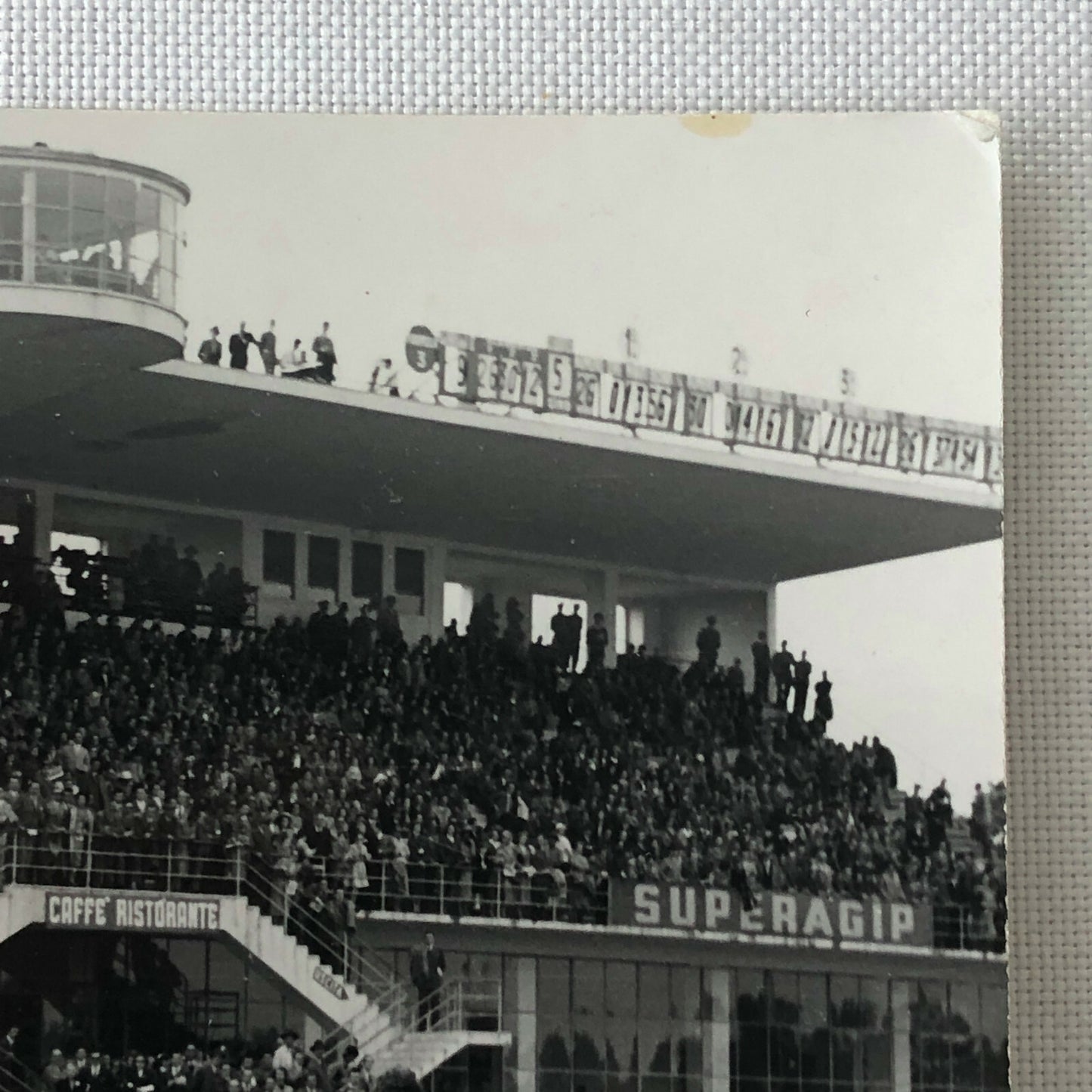1951 Stirling Moss Racing Photo Photograph 