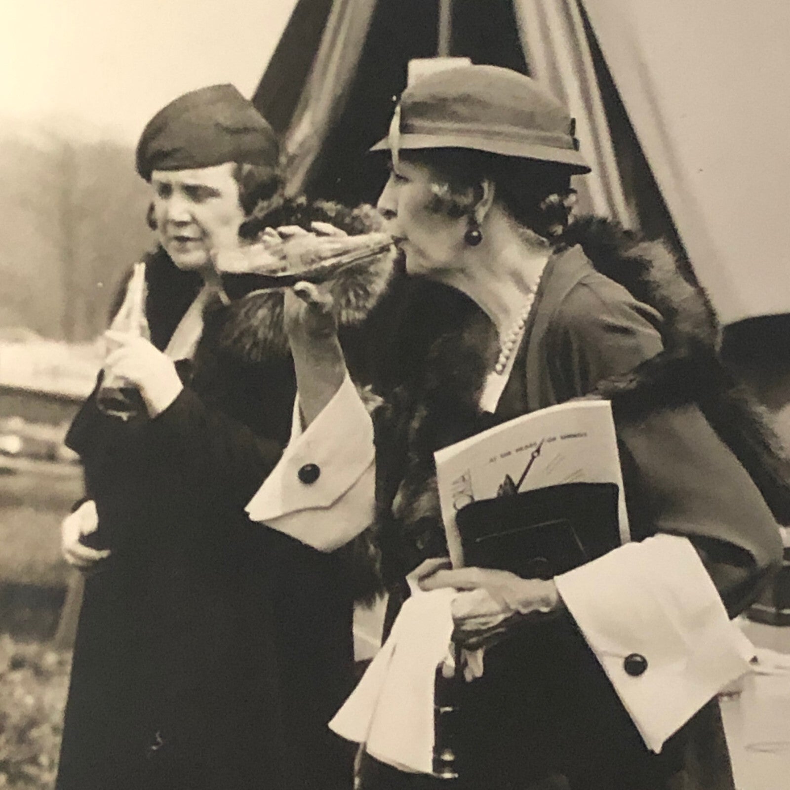 Press Photo Photograph Democratic Leader National Capitol Horse Event Underwood