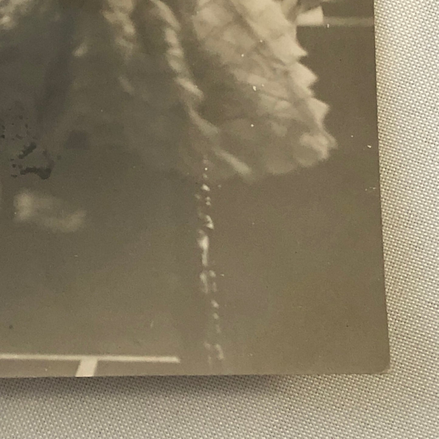 Vintage Press Photo Photograph Portrait Artist Kaston Taylor Painting Child