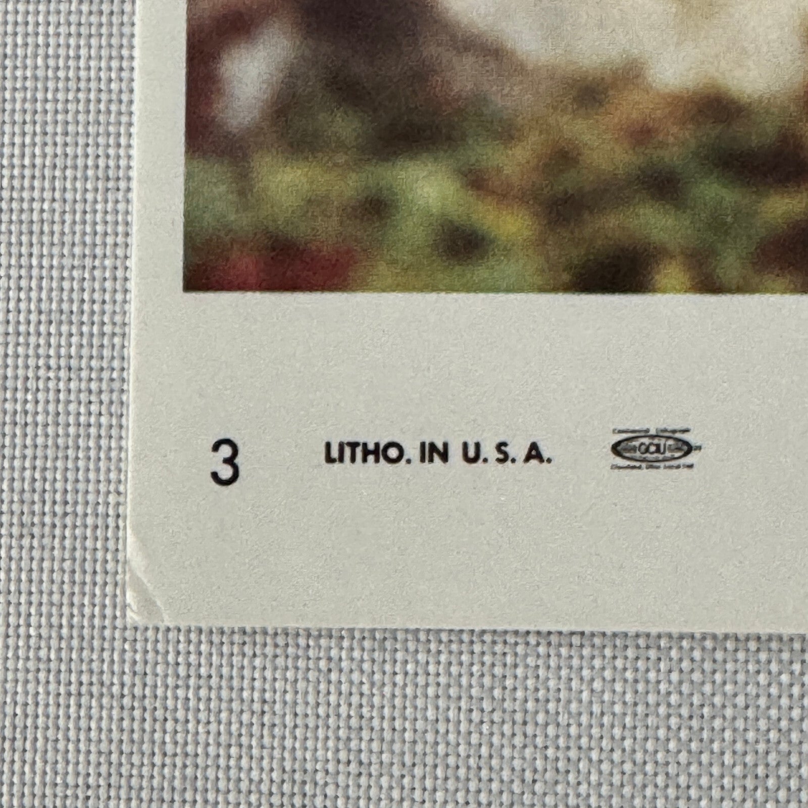 Vintage Movie Film Lobby Card The Bear Tri Star Release 1989