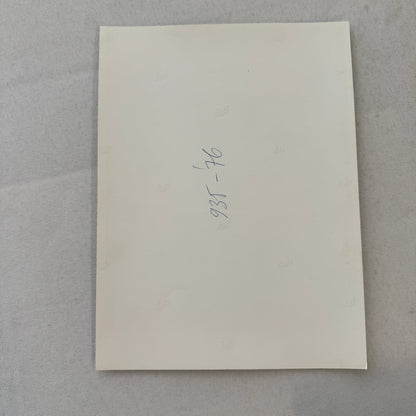 Porsche 935 Martini Racing Car Vintage Photo Photograph Print