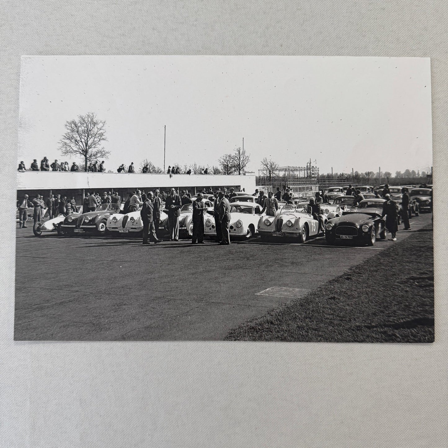 1952 Swiss Car Racing Club at Monza Photo Photograph Jaguar Porsche Modern Print