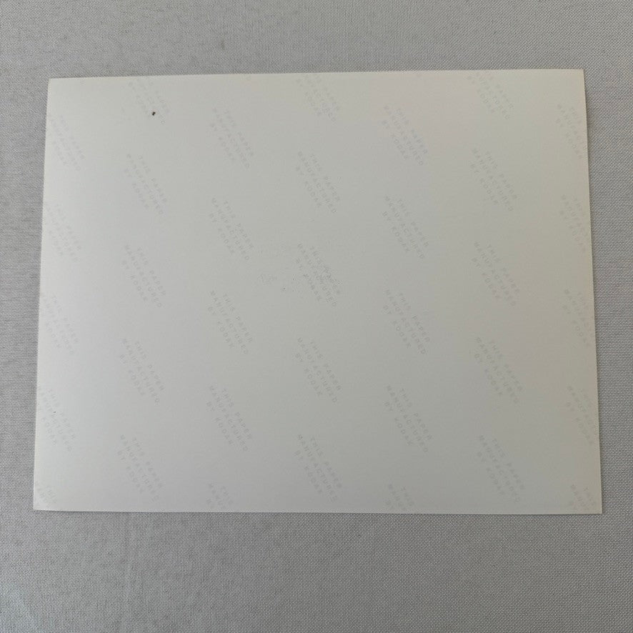 Vintage Racing Photograph 1970 Porsche 917 LeMans Vic Elford Modern Print