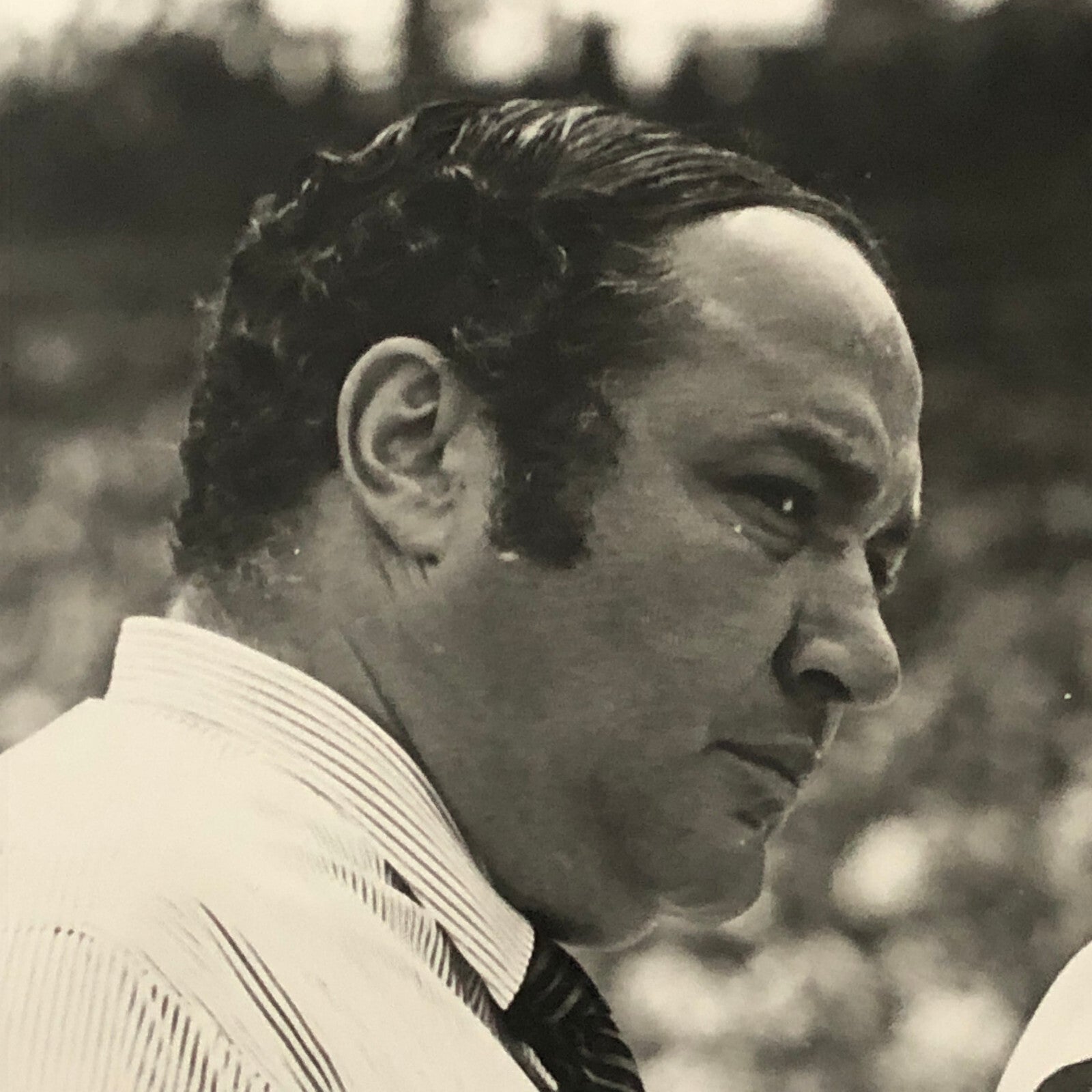 Indy Indianapolis 500 Racing Photo Photograph Andy and Vince Granatelli STP