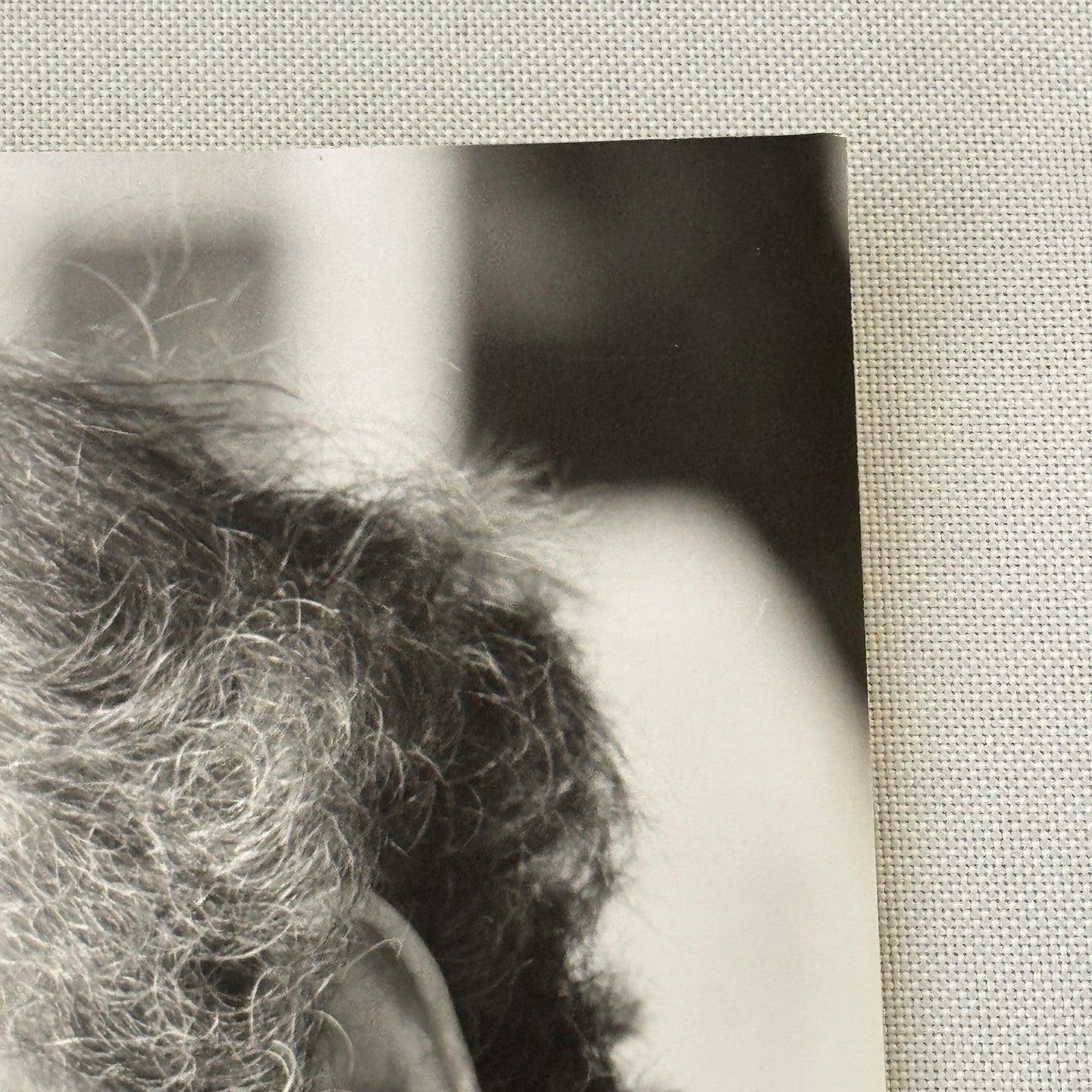 1974 Racing Driver Photo Denis Hulme Vintage Photograph F1 Formula 1