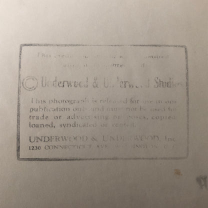 Press Photo Photograph President Herbert Hoover Grand Children Christmas