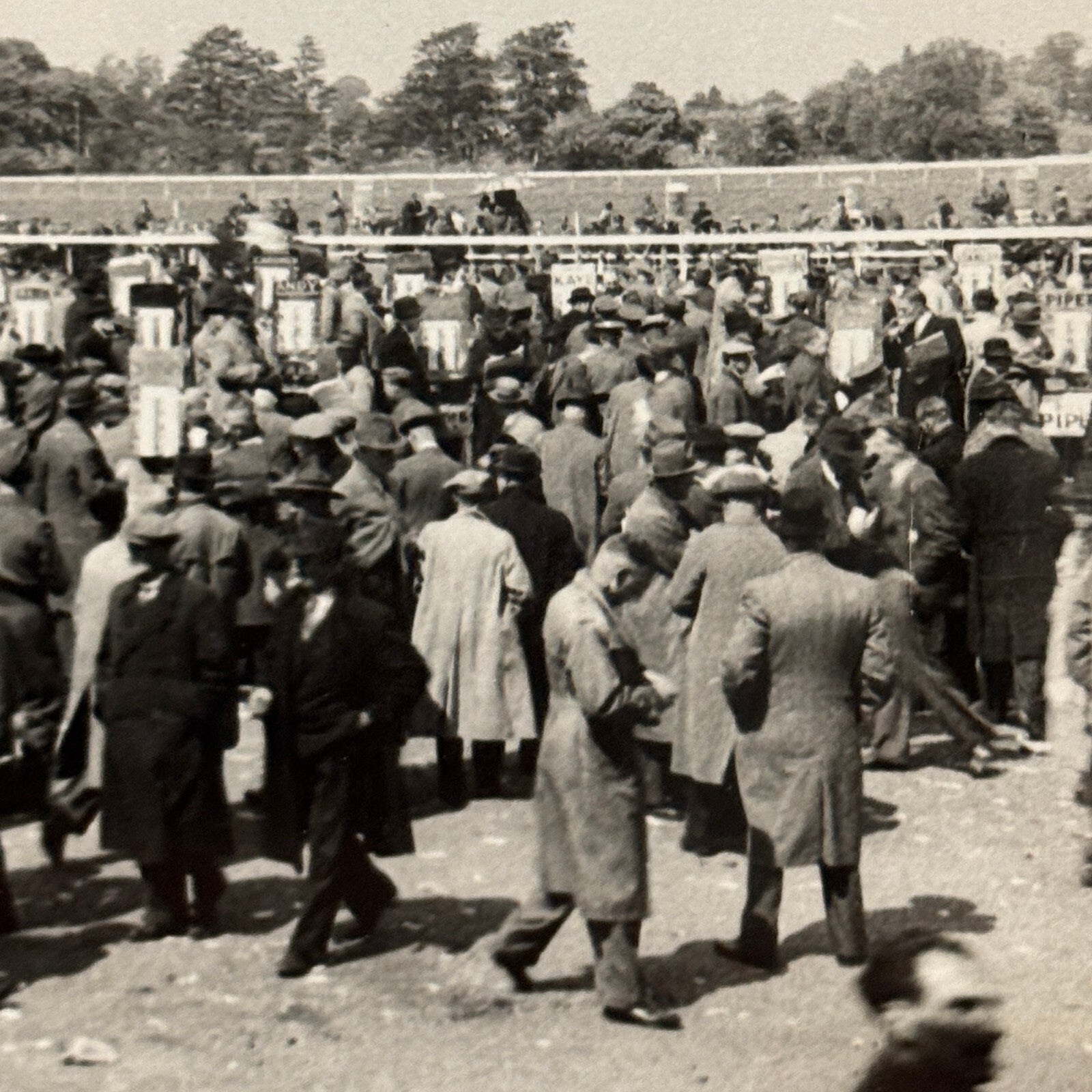 Vintage Photo Photograph Crowd at Horse Racing Track