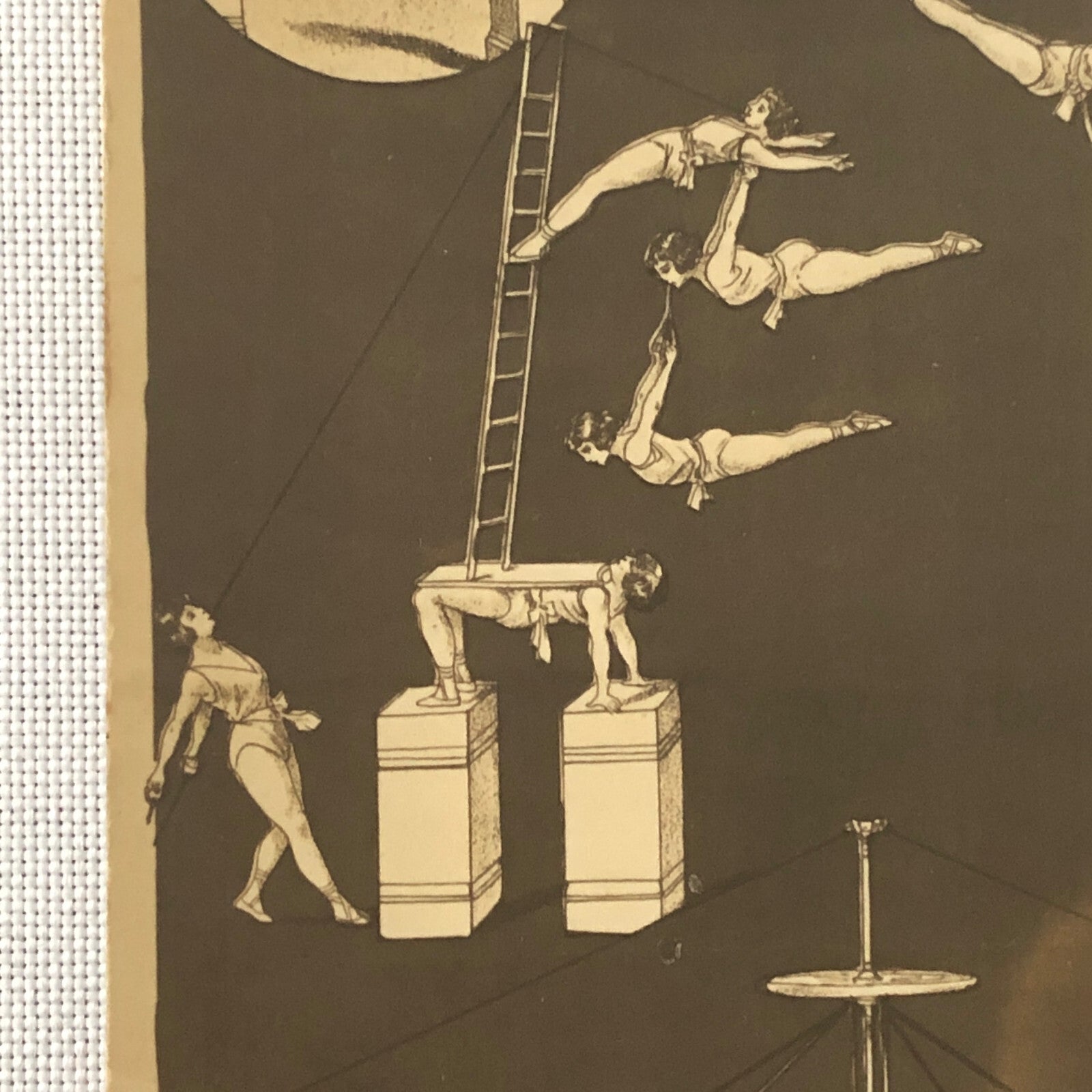 Circus Performer Postcard Post Card Acrobat Act 5 Meerwald Sisters