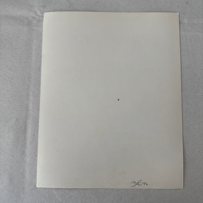 Vintage Movie Still Photo Photograph Rudolph Nureyev as Rudolph Valentino