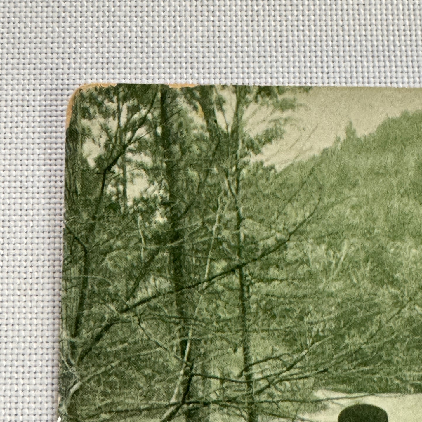 Vintage Car Automobile Postcard Post Card Women Motorists