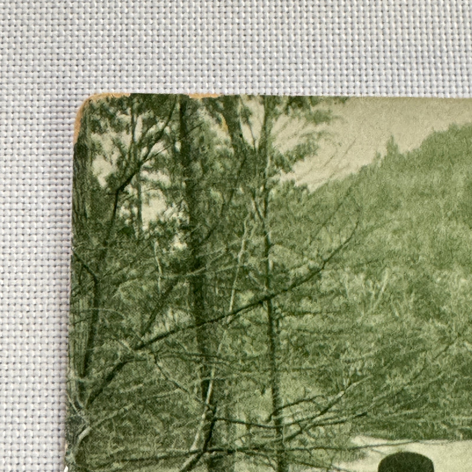 Vintage Car Automobile Postcard Post Card Women Motorists