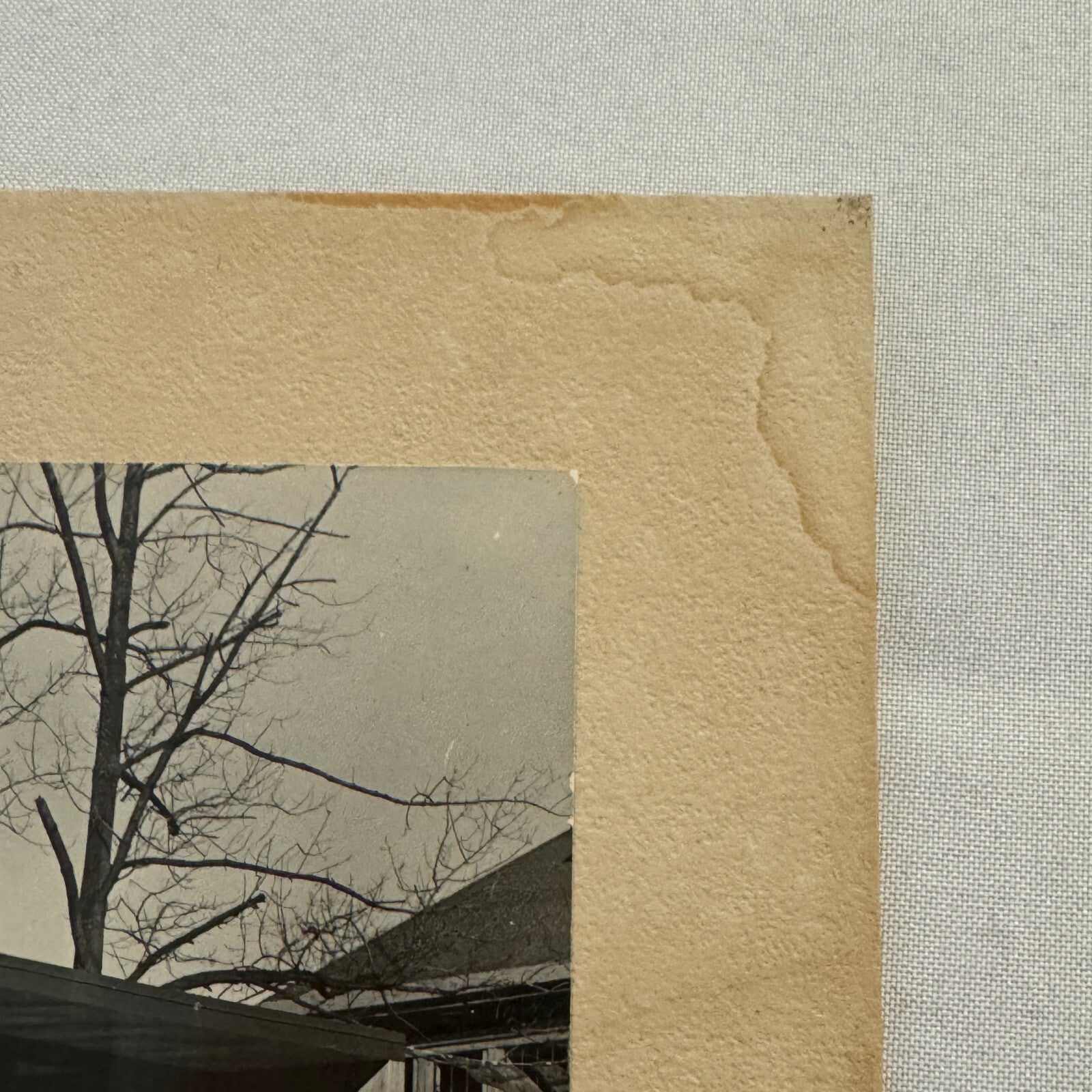 1951 Chevrolet Used Car Dealership Building Vintage Photo Photograph