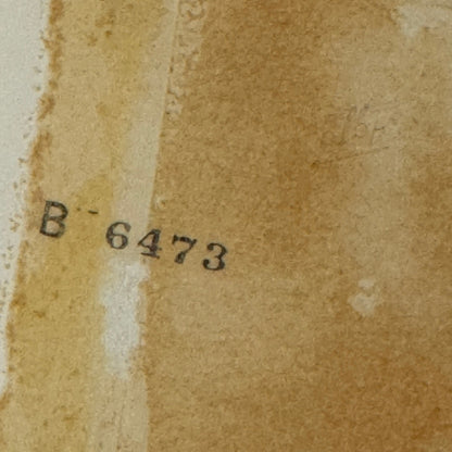 Vintage Lotus Racing Photo Photograph Print Motorsport