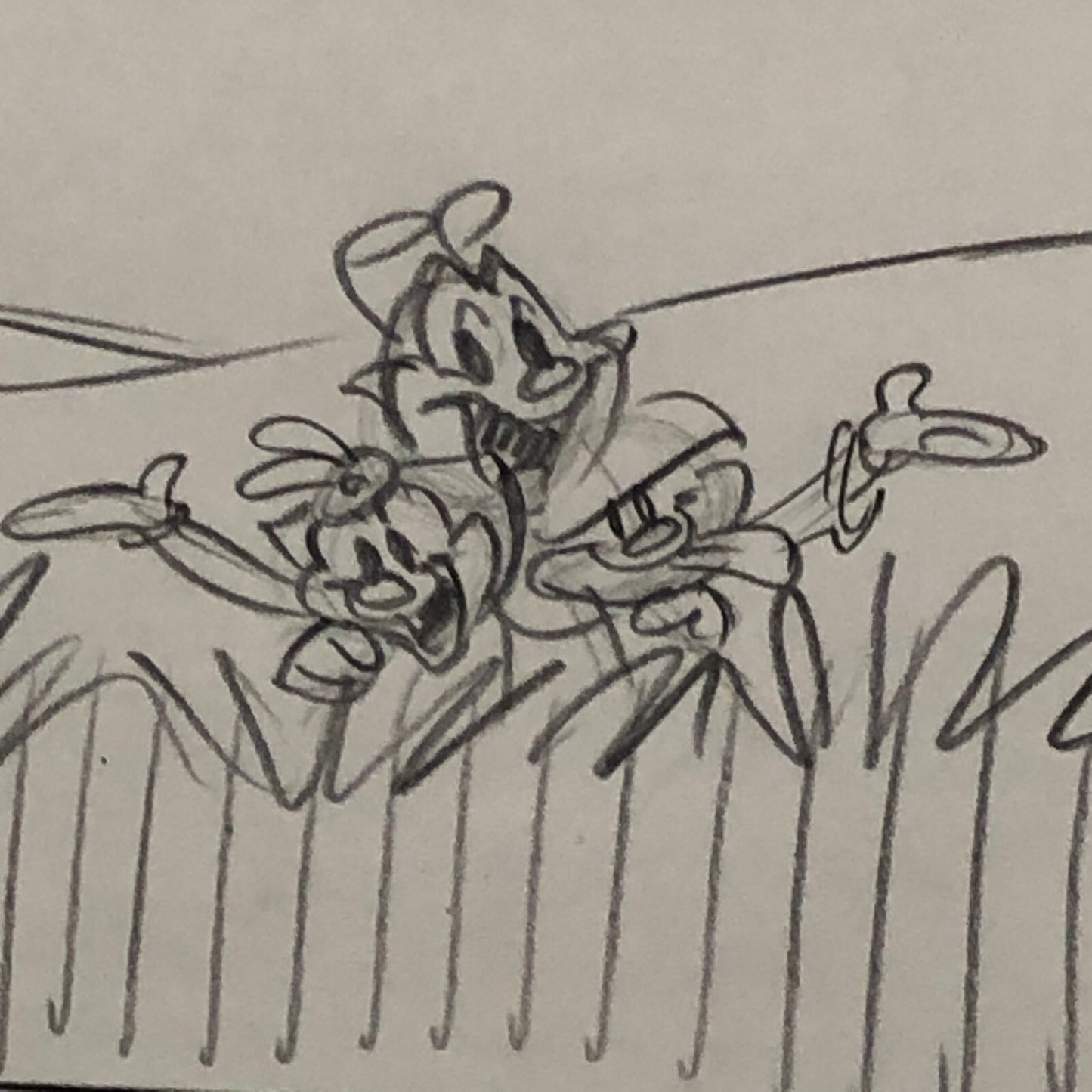 ANIMANIACS Animation Storyboard Illustration Drawing Sketch Art Story Board