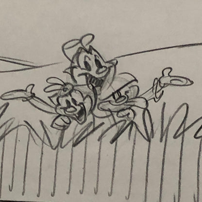 ANIMANIACS Animation Storyboard Illustration Drawing Sketch Art Story Board