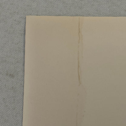 Porsche 911 at Dealership Photo Photograph Print Vintage 1988