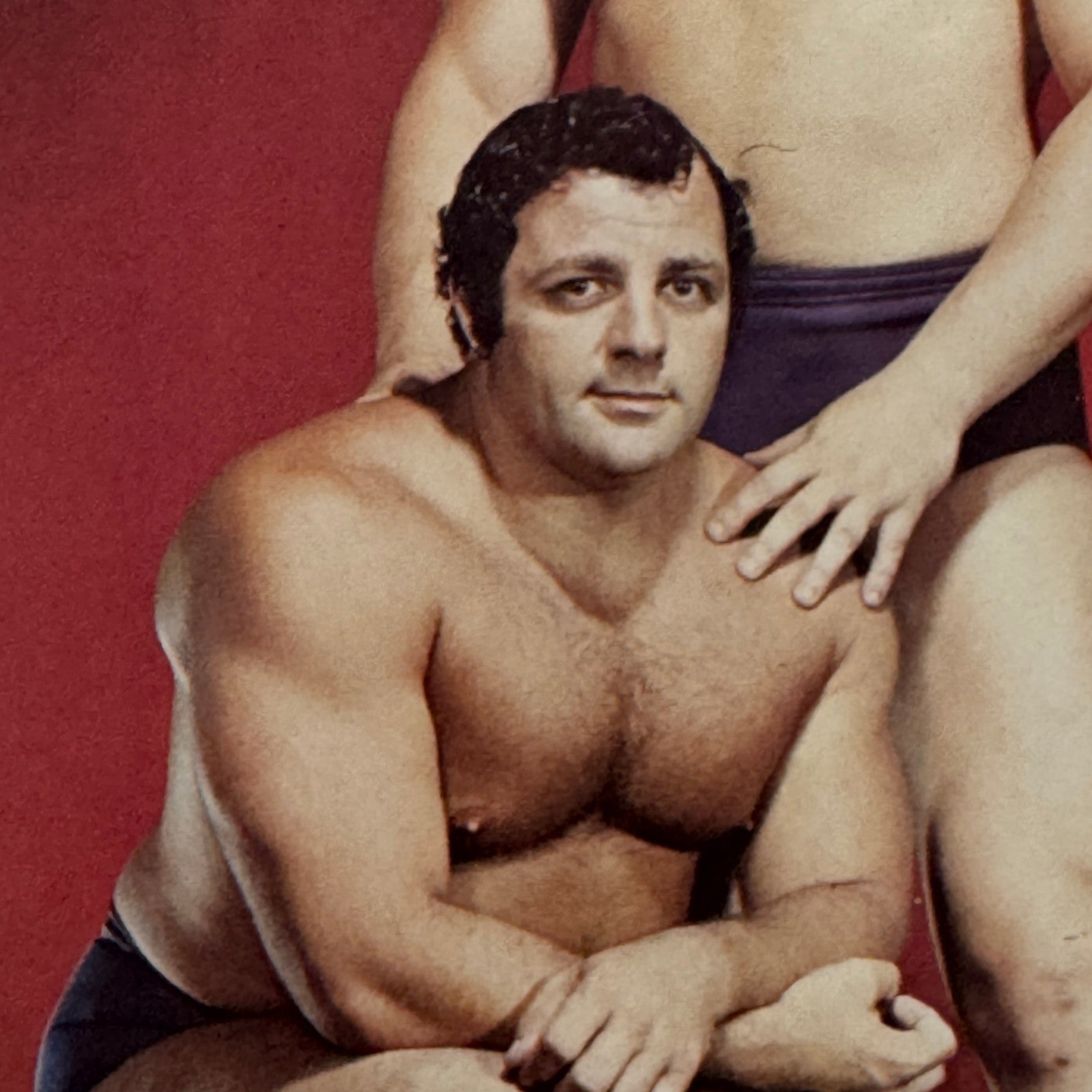 Vintage Wrestling Print Insert Dino Bravo Gino Brito Quebec French 1973