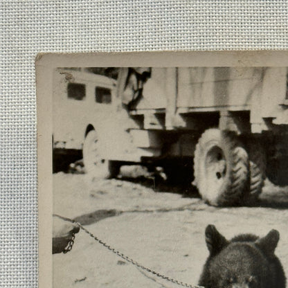 Vintage Photo Photograph Print Bear Cub with Truck