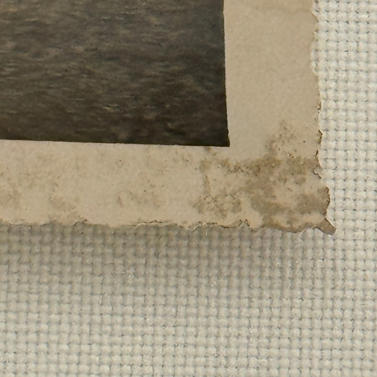 Vintage Racing Car Photo Photograph Early Automobile Motorsport