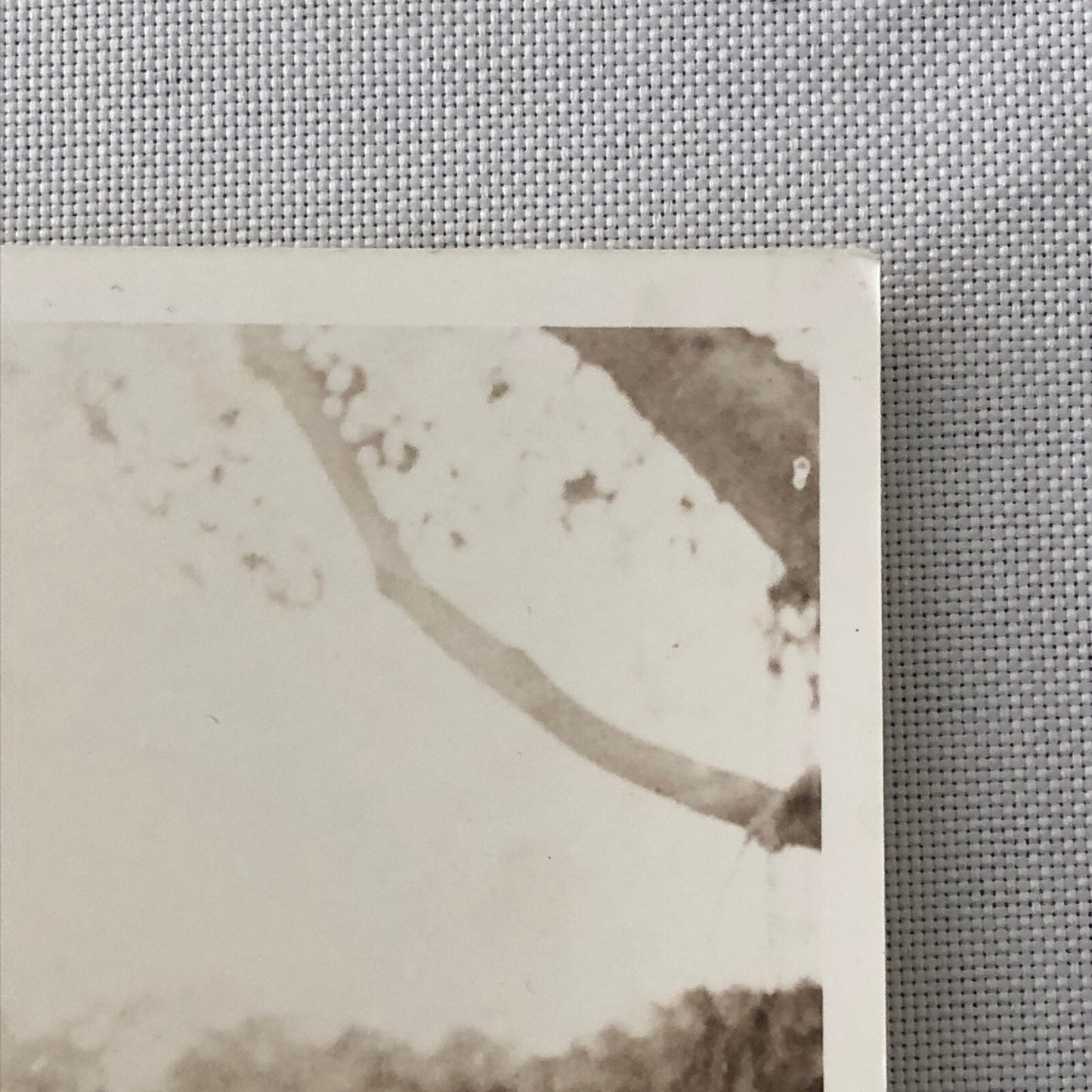 Antique Fiat Car Automobile Photo Photograph Print 