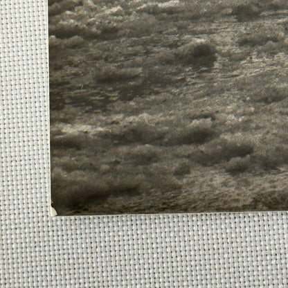 1980 Rallye Monte Carlo Press Photo Photograph DPPI Fiat Ritmo 75 Car Rally