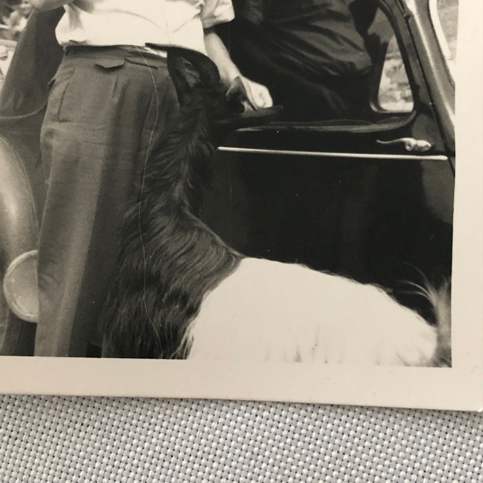 Vintage Photo Photograph Snapshot Man Dog Car Automobile Germany + AL22SM2