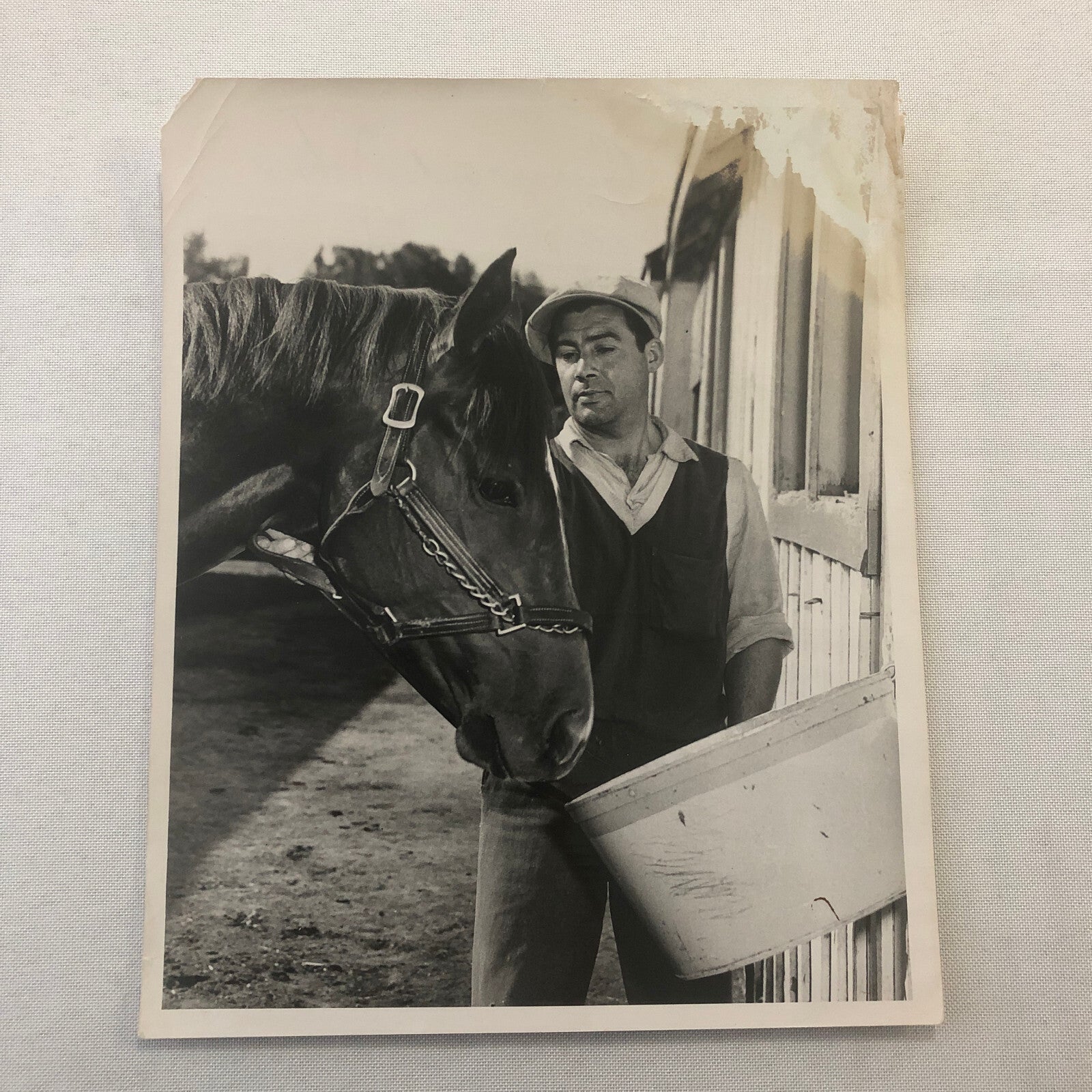 Vintage Horse Racing Photo Photograph Queens Own John Delisle